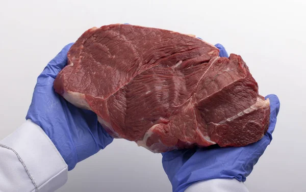 Travailleur de laboratoire dans des gants de protection tenant un morceau de viande crue — Photo