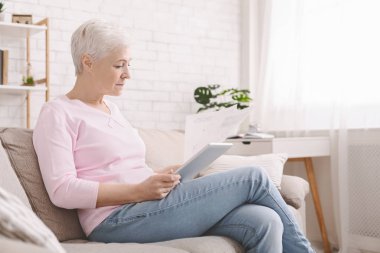 Finans belgeleri ve web sitesi okuyan son sınıf öğrencisi.