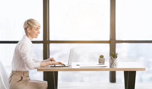 Mujer de negocios trabajando en el ordenador portátil sentado en la oficina moderna, Vista lateral — Foto de Stock