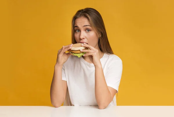 チート食事の日。黄色の背景にスタジオに立つハンバーガーを食べる空腹の若い女性。パノラマ — ストック写真