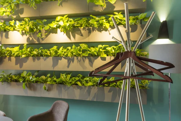 Intérieur de café moderne avec des plantes vertes vivantes sur le mur — Photo