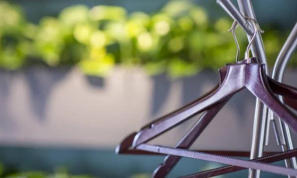 Café intérieur avec plantes vivantes vertes et cintre élégant — Photo