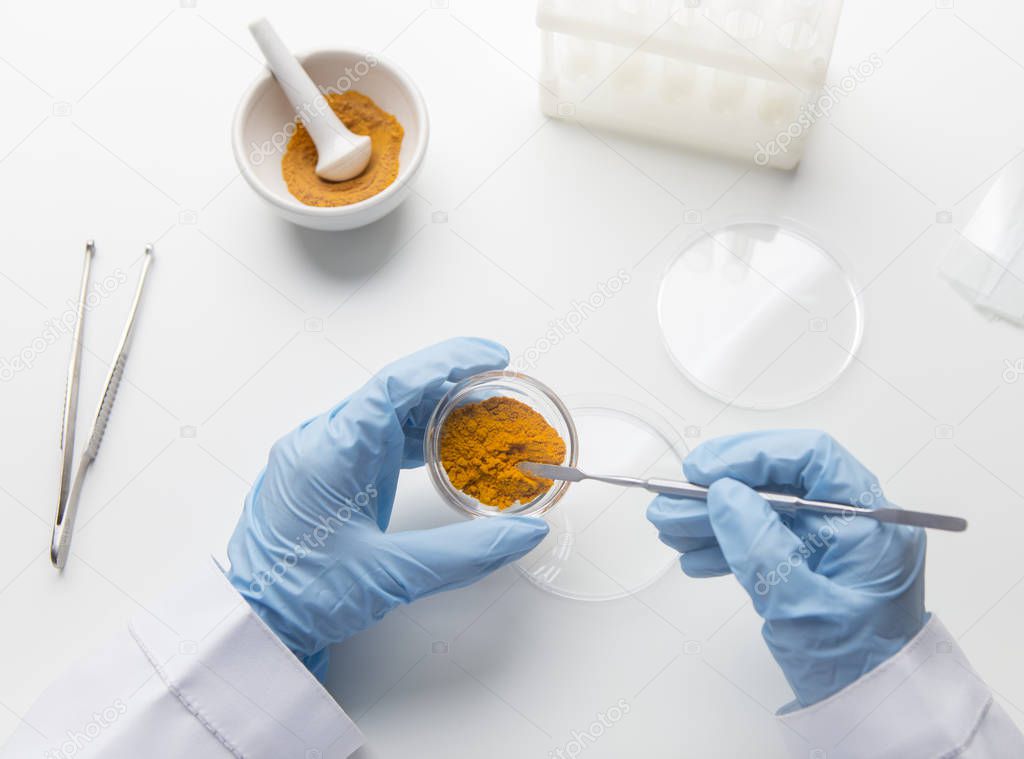 Scientist hands taking turmeric or curcuma for analizing in the laboratory