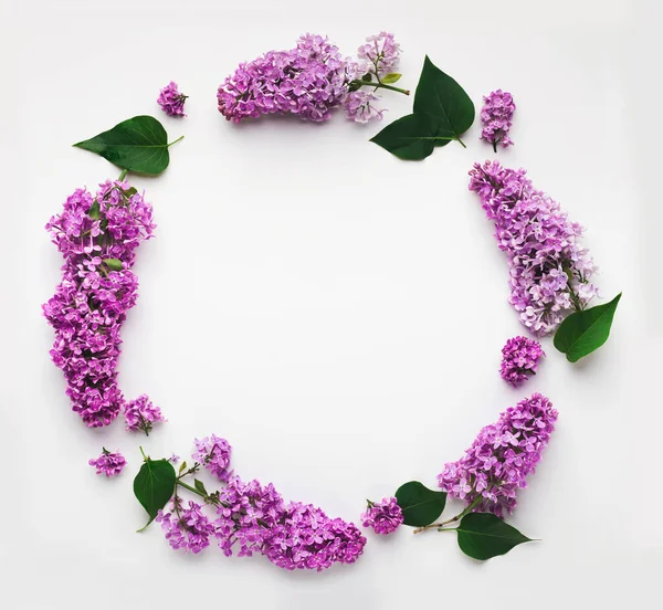 Flovers Lilac armação redonda, isolado em branco, vista superior, flat lay — Fotografia de Stock