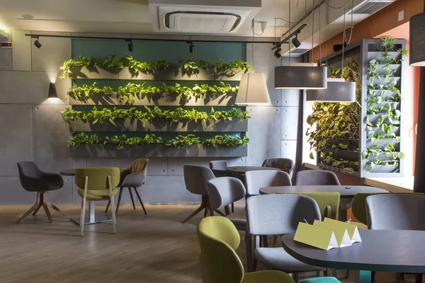 Moderna tendencia de decoración de interiores con pared de planta verde — Foto de Stock