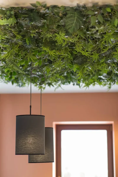 Lâmpadas criativas em estilo loft, teto ecológico, café moderno — Fotografia de Stock