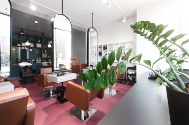 Modern beauty salon interior with creative mirrors