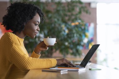 Young attractive businesswoman browsing on laptop and drinking tea