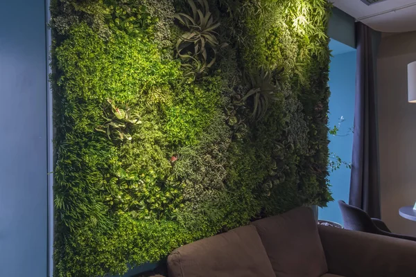 Green plants on wall, ornamental design in eco coffee cafe — 图库照片