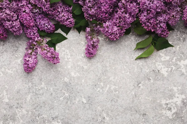 Fronteira de flores lilás em concreto cinza, espaço de cópia, vista superior — Fotografia de Stock
