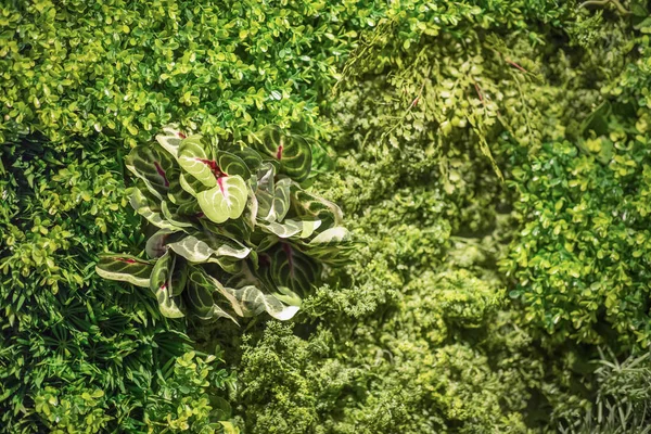 Креативный фон с зелеными листьями как уличное украшение — стоковое фото