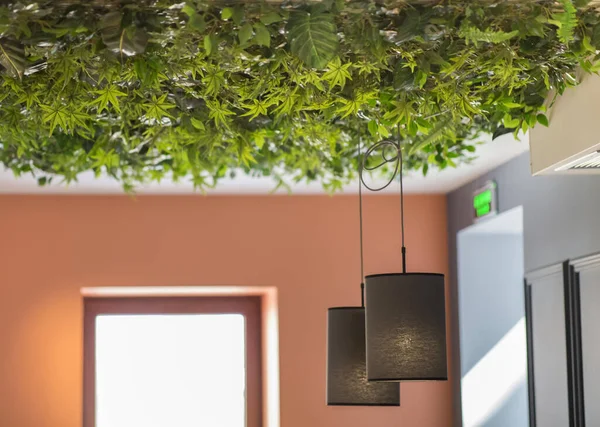 Café ou café decorado com teto ecológico, bulbos criativos — Fotografia de Stock