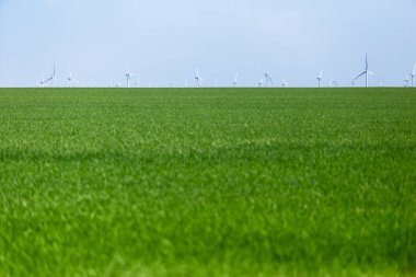 Yeşil alan önplanı. Rüzgar türbinleri uzak mesafede