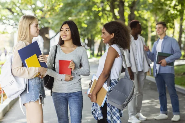 Girlfriends students discussing educational project, park background — Stockfoto