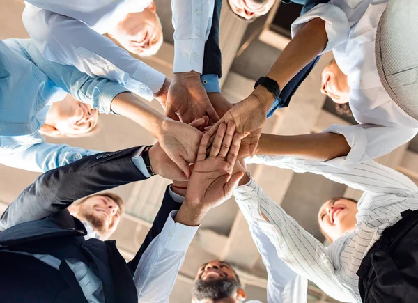 Collèges unis debout dans le cercle tenant les mains au bureau, Vue du bas — Photo