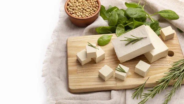 Healthy food without meat. Tofu and herbs — 图库照片