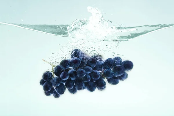 Frutas salpicantes. Uvas escuras suculentas caindo em água pura no fundo azul — Fotografia de Stock