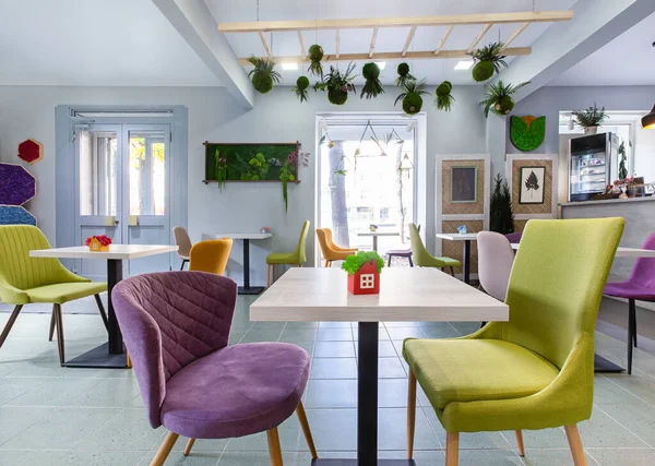 Interior cerah dari kafe modern dihiasi dengan tanaman — Stok Foto