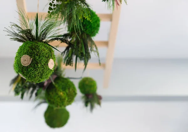 Kokedama plant in ball with fern at ceiling — Stockfoto