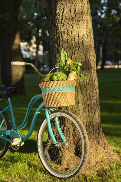 Creative vintage bicycle with healthy products from market — Stockfoto