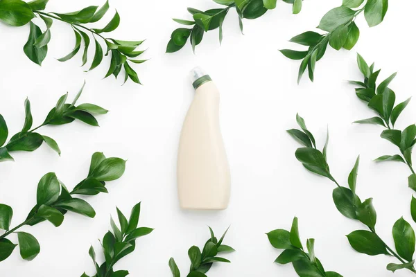 Екологічно чиста пляшка в оточенні листя на білому — стокове фото