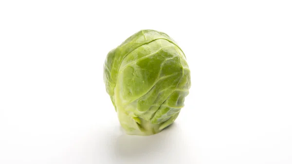 One brussels sprouts on white background, empty space — Stock Photo, Image