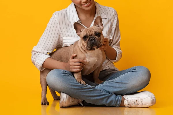 Cute French Bulldog Puppy With His Unrecognizable Black Female Owner
