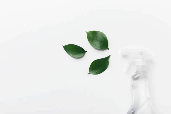 천연 복합 재료를 상징하는 잎이 달린 병에 들어 있는 생분무기 세제 — 스톡 사진