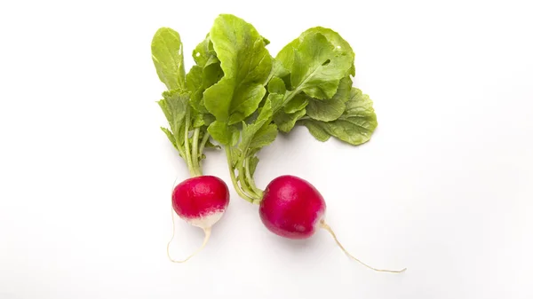 Vegetables from farm. Bright red radishes on white background — Zdjęcie stockowe