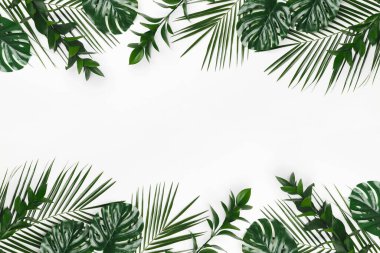 Natural Green flat lay tropical palm leaves branches on white