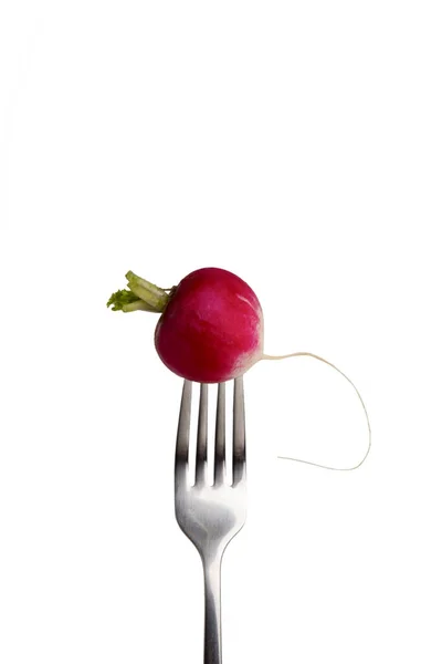 One radish on fork isolated on white background — Zdjęcie stockowe