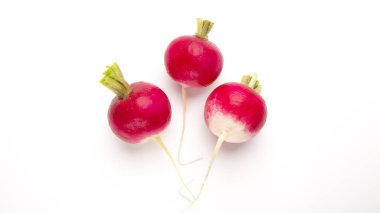 Ripe freshly purple radishes on white background