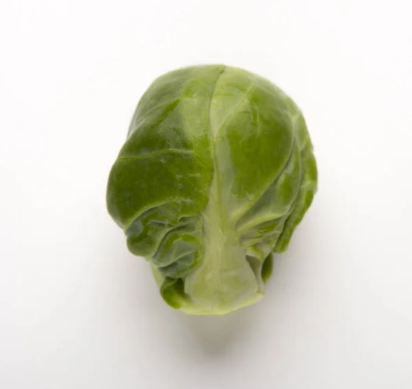 One brussels sprouts close up isolated on white background — Stock fotografie