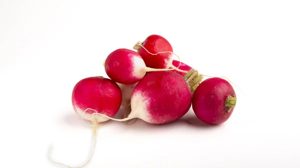 Eco clean root vegetable. Radishes on white background — Zdjęcie stockowe