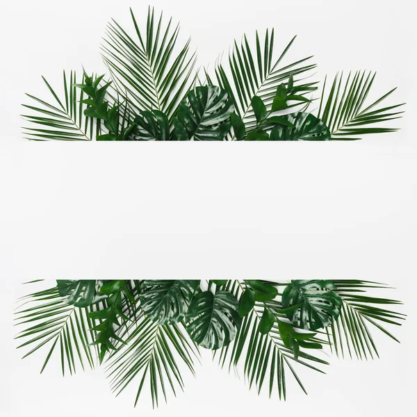 Creative tropical frame of monstera and palm leaves — Stock Photo, Image