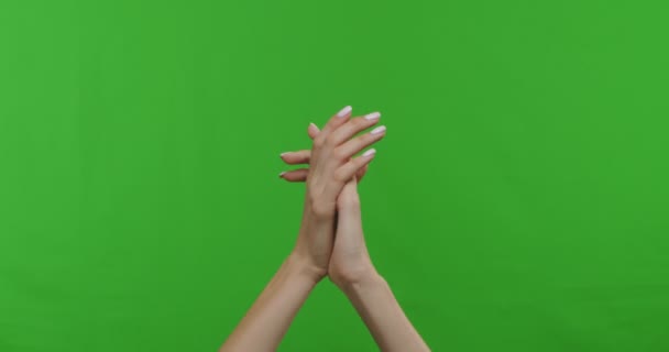 Woman hands clapping applause over green chroma key background — Stock Video