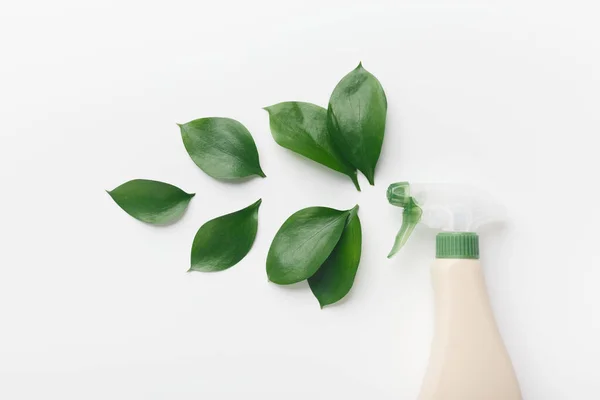 Екологічна пляшка для очищення, зелене листя — стокове фото