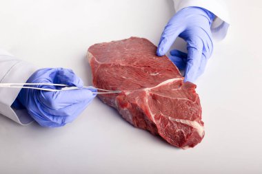 Doctor inspecting meat sample with tweezers free space