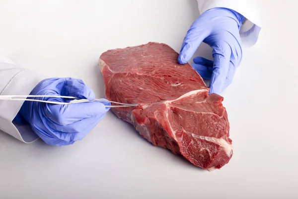 Doctor inspecting meat sample with tweezers free space — ストック写真