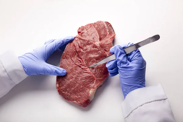 Scientifique en gants effectue le contrôle de la qualité de la viande — Photo