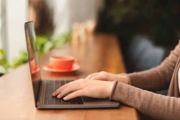 Mujer joven freelancer trabajando en el ordenador portátil en la cafetería —  Fotos de Stock