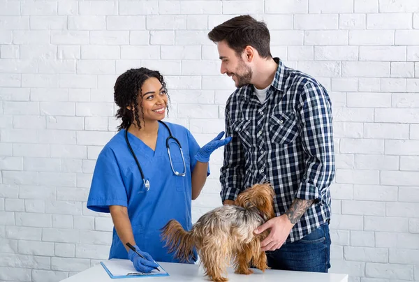 Müşteri ve hayvan hastanesindeki sevimli köpek doktoru. — Stok fotoğraf