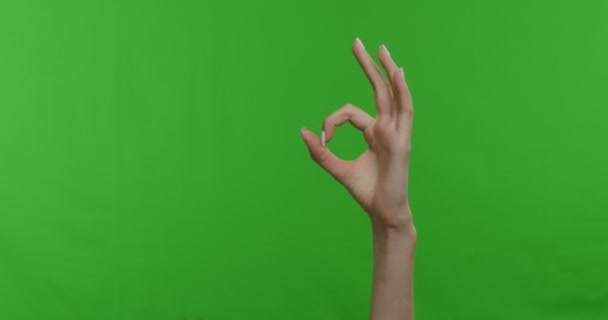 Conjunto de mano femenina mostrando gesto OK, croma clave fondo — Vídeos de Stock