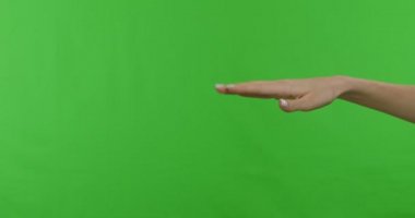 Female hand showing set of different communicational gestures