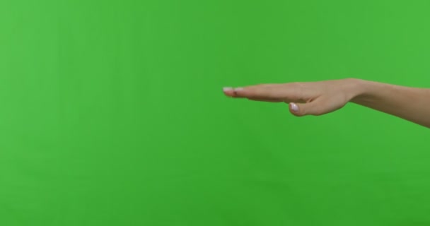 Mano femenina mostrando conjunto de diferentes gestos comunicacionales — Vídeos de Stock