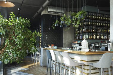 Bar tabureleri ve yeşil bitkilerle dolu uzun ahşap tezgah.