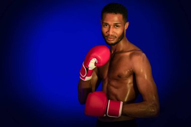 Profesyonel Afrikalı Eldiven Giyen Boksör Mavi Stüdyo Arkaplanı Üzerinde Pozisyon