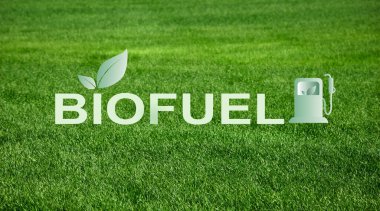 Alternatif enerji. Arka planda yeşil çimenlere karşı BIOFUEL sözcüğüyle yaratıcı kolaj