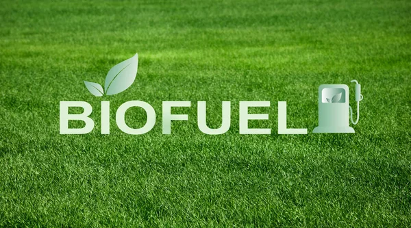 Energía alternativa. collage creativo con la palabra BIOFUEL contra hierba verde en el fondo — Foto de Stock
