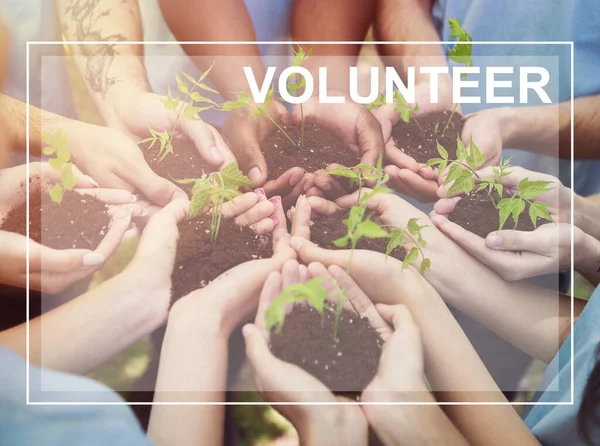 Planeta verde. Colagem de jovens segurando solo com mudas e palavra VOLUNTEER — Fotografia de Stock